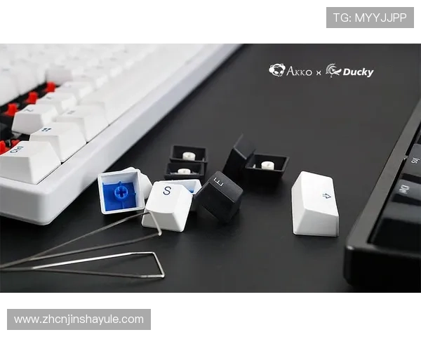 如何快速找到金沙电竞登录入口，详细步骤与常见问题解答