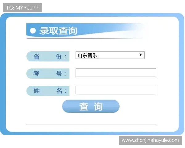 金沙电子赌城登陆大全，全面整理各大平台登录入口及常见登录问题解答