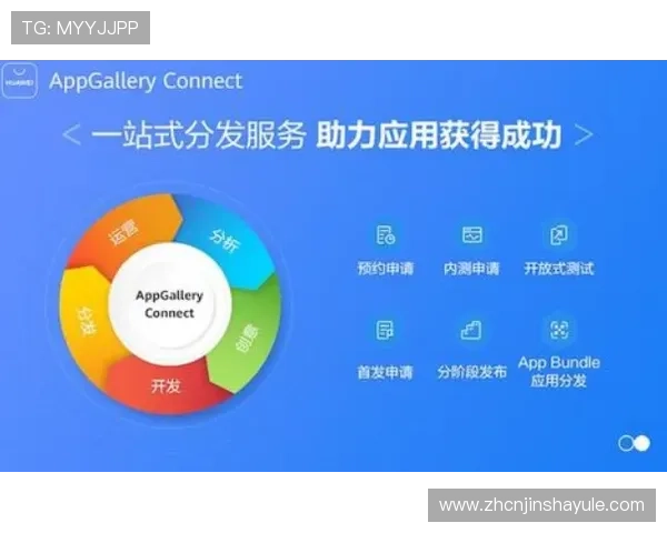 了解金沙国际平台的主要功能和服务内容全面指南